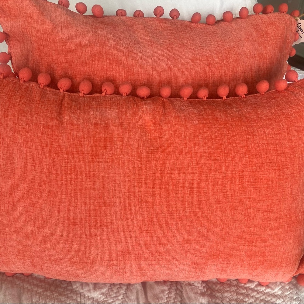2 coral lumbar pillows